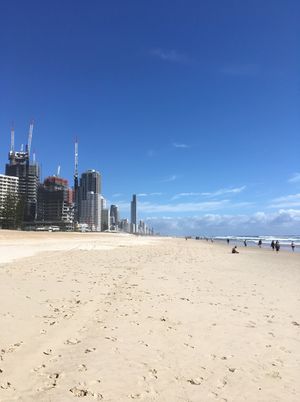お散歩🇦🇺