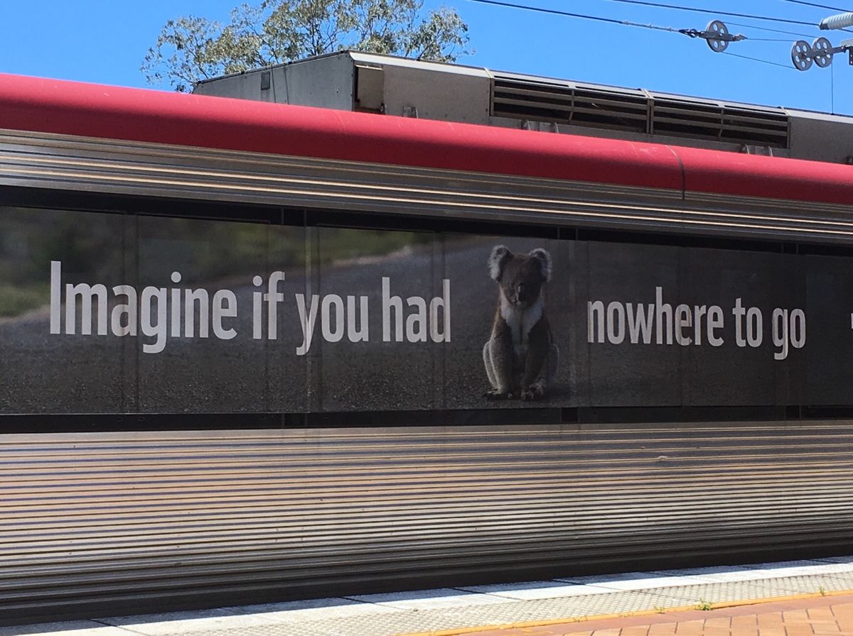 ブリスベンに向かったのに…電車が止まってバスで振替輸送💦全然話せないのにハ...