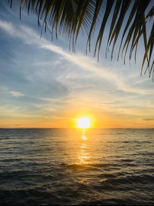 Sea🏝& Sunrise 🌞