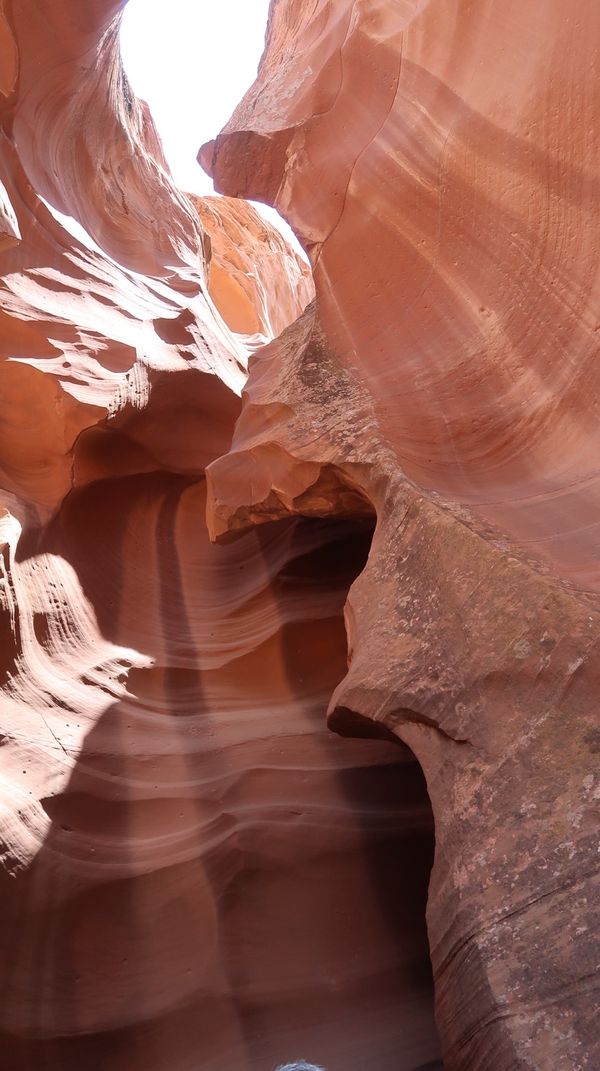 アメリカ(米国)「🇺🇸Arizona🏜」の写真
