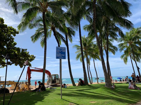 アメリカ(米国)「🇺🇸Hawaii🐠」の写真
