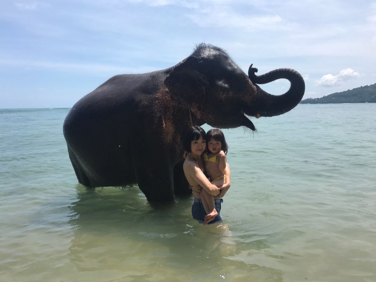 象さんにのったり、キッザニアに行ったり楽しかった❤️
象さんは怖かったみた...