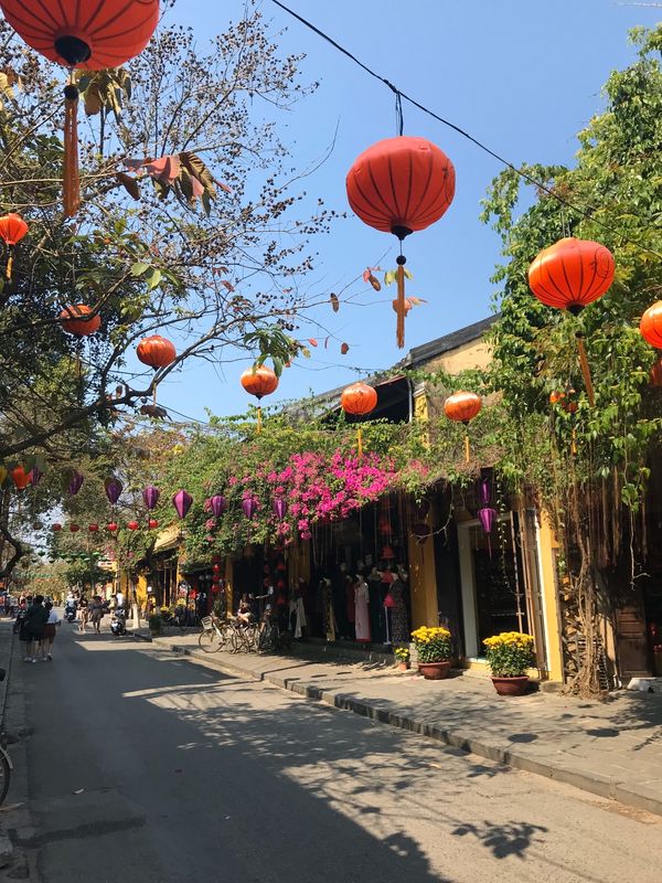 ベトナム「ベトナム」の写真