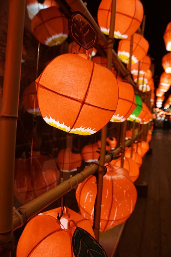 日本「青森」の写真