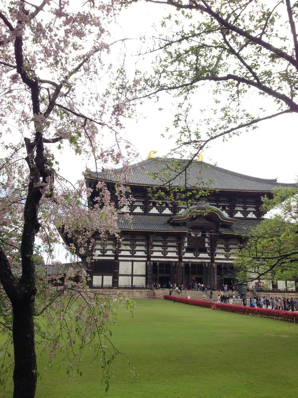 日本・京都府「京都、奈良」の写真：奈良