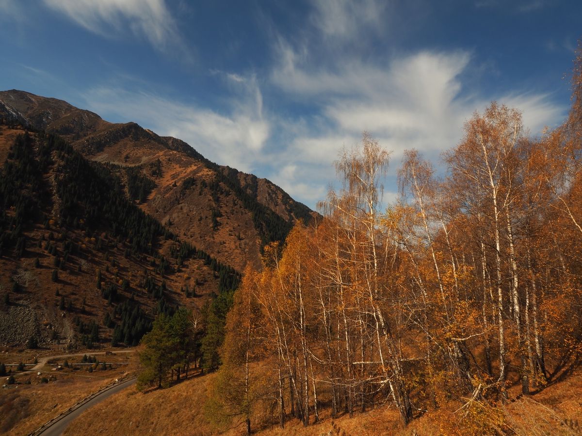 アルマトイ 
街から30キロほど郊外の山中に佇むビッグアルマトイ レイク
...