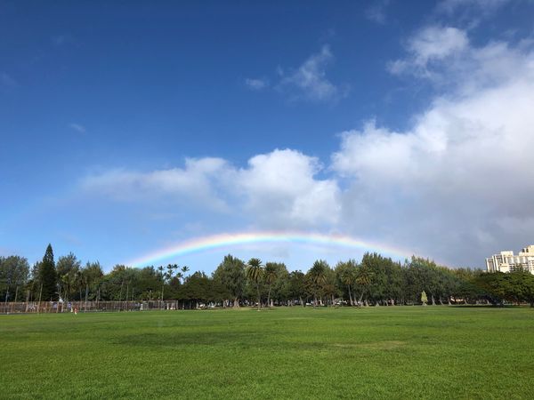 アメリカ(米国)・Waikiki「HAWAII🍍/ company trip」の写真：The most perfect rai...