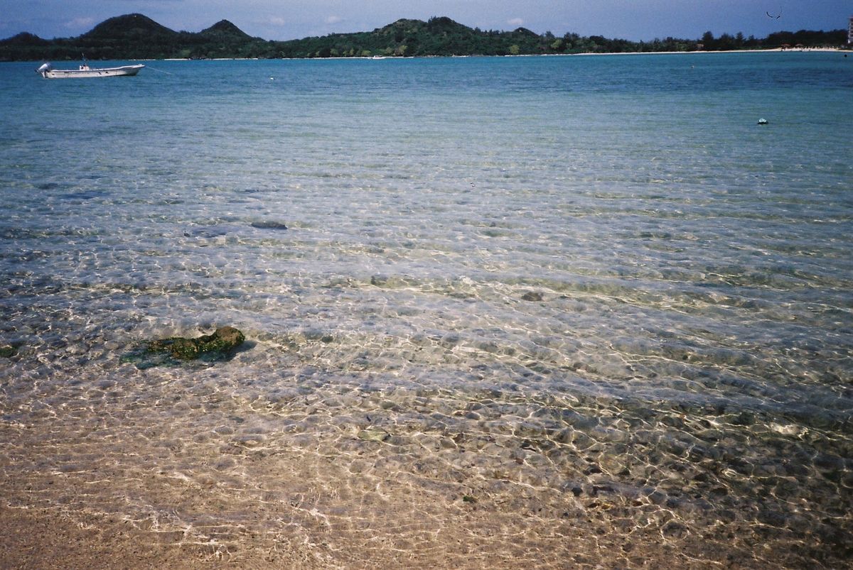 I have a dream of living near the bea...