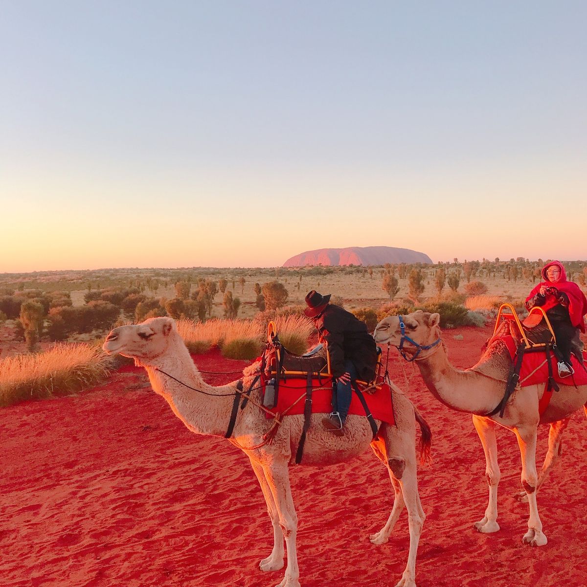 エアーズロック登ってたら日の入りの時間になってしまって
赤く燃えるエアーズ...