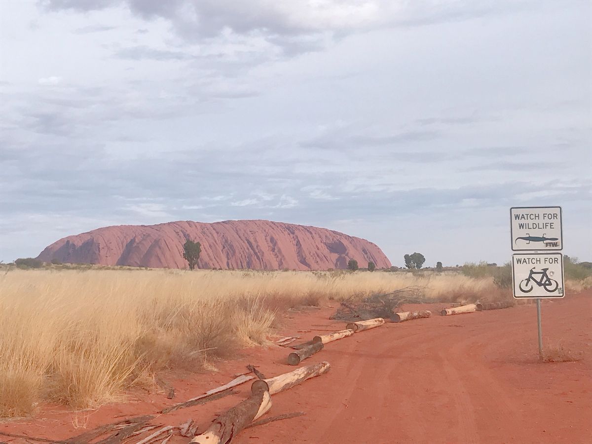 2度目のウルルは、天気に恵まれず。
そして、強風のため登る事ができなかった...
