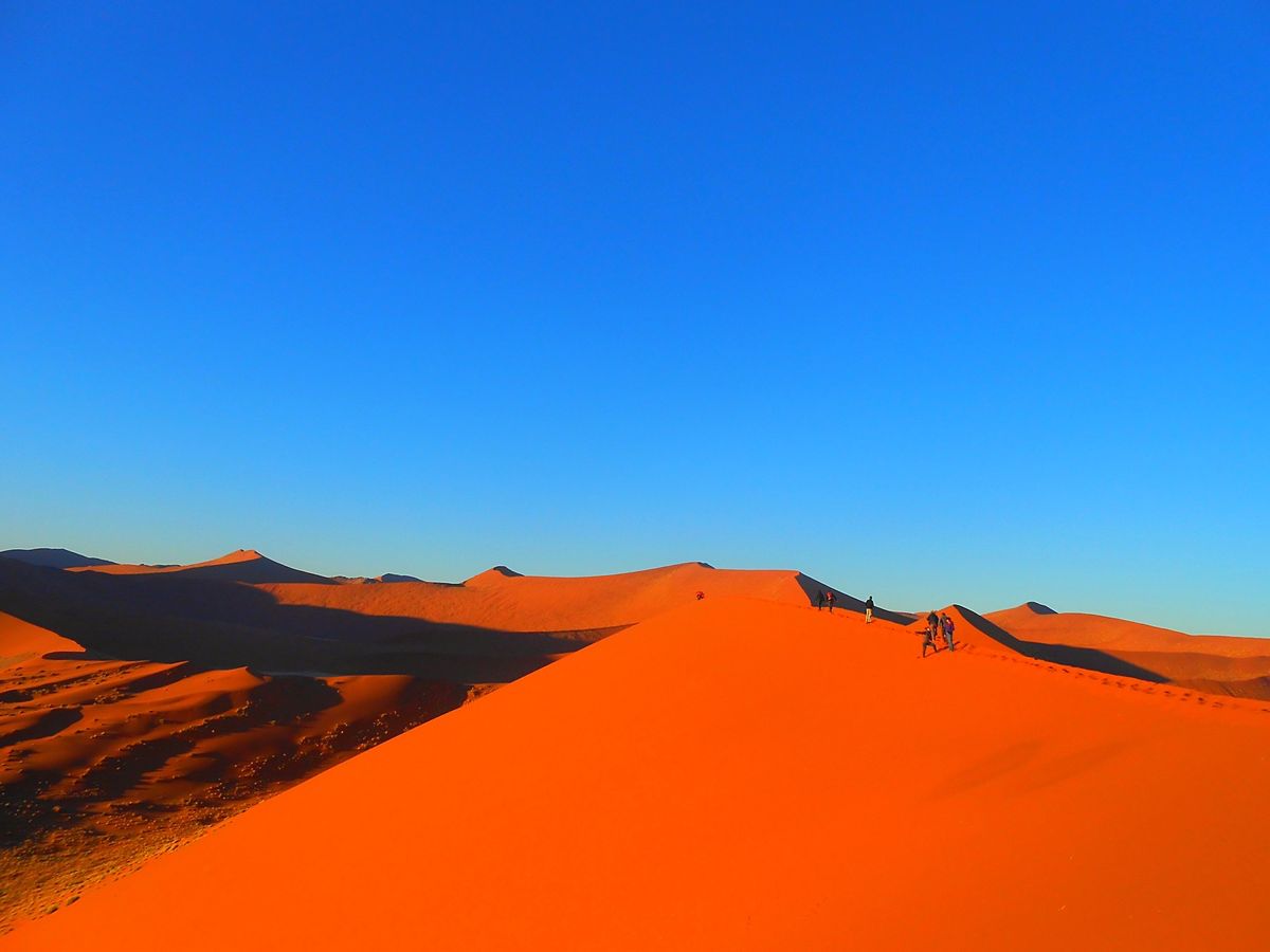 ナミブ砂漠
ナミブ砂漠に昇るサンライズは、強く激しく真っ赤な世界に、砂漠を...