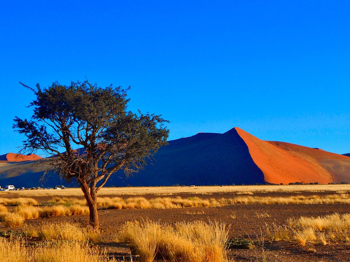 ナミブ砂漠
ナミブ砂漠に昇るサンライズは、強く激しく真っ赤な世界に、砂漠を...