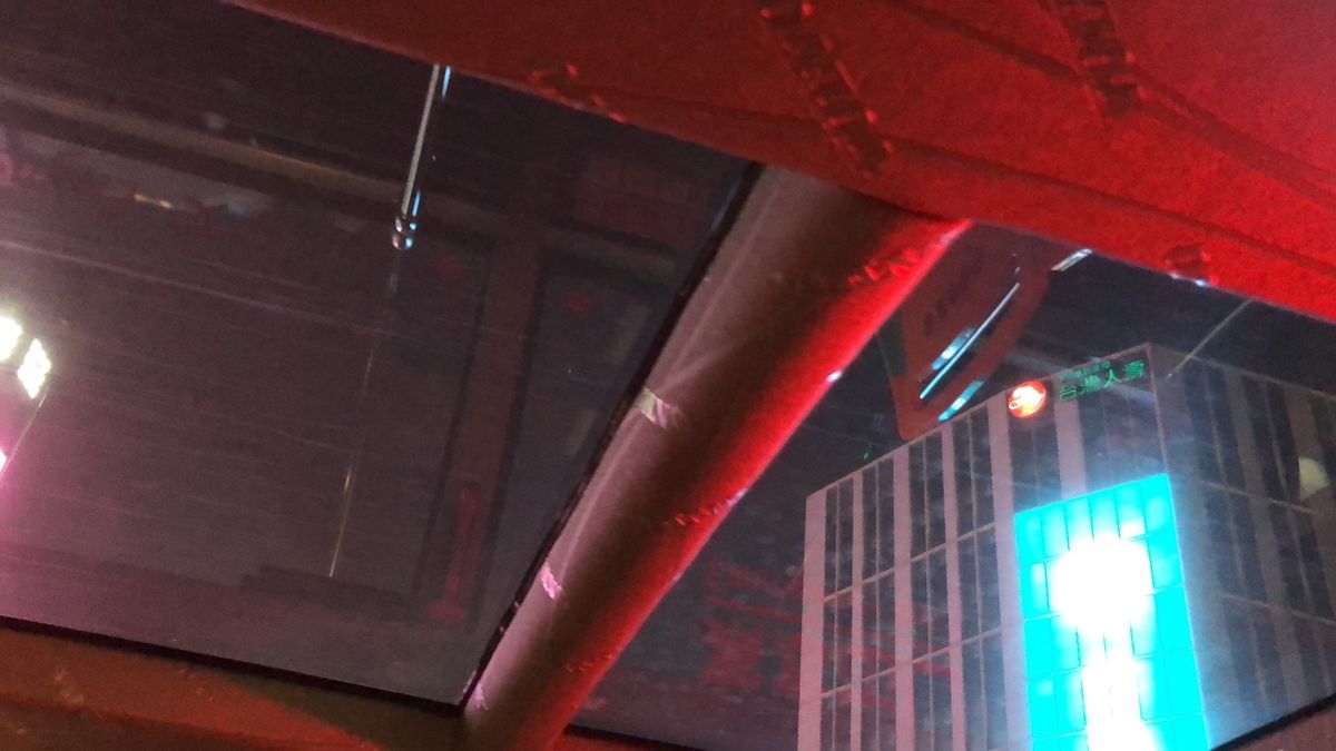 昼食は「春梅子餐庁」で頂き、「足つぼマッサージ」と「中正紀念堂」を周ってツ...