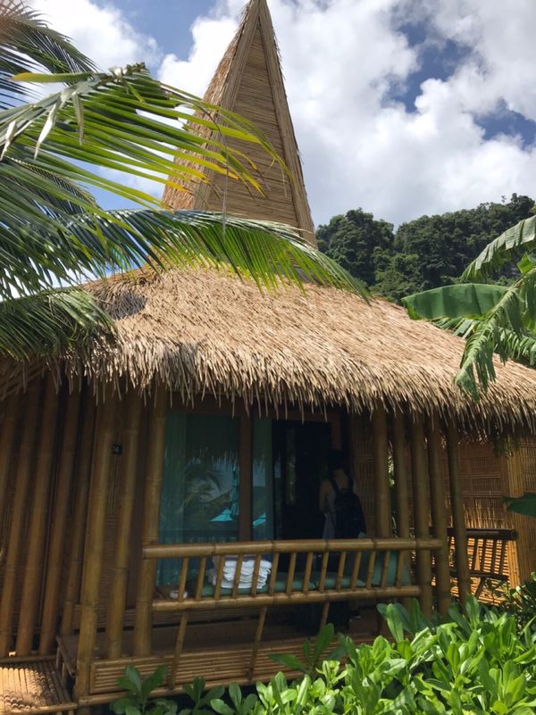 タイ・ピピ島「ピピ島」の写真：ココビーチリゾート🥥
客室が全てバンガロ...