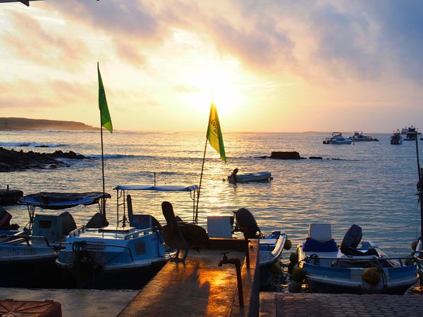 エクアドル・キト「ガラパゴス　動物と鳥たちの楽園へ」の写真：島によって街の規模は異なります
サンタク...