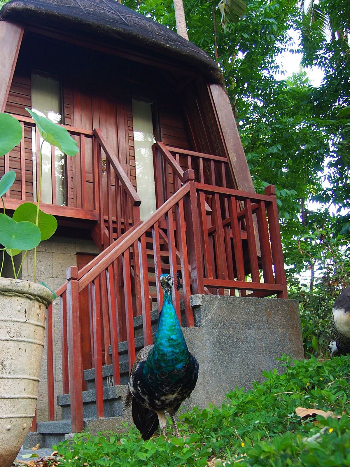 日常を忘れ、リフレッシュ！