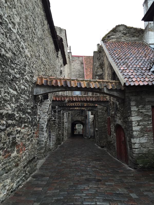 エストニア・タリン「エストニア、タリン」の写真