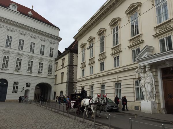 オーストリア・ウィーン「オーストリア、ウィーン、ザルツブルク」の写真