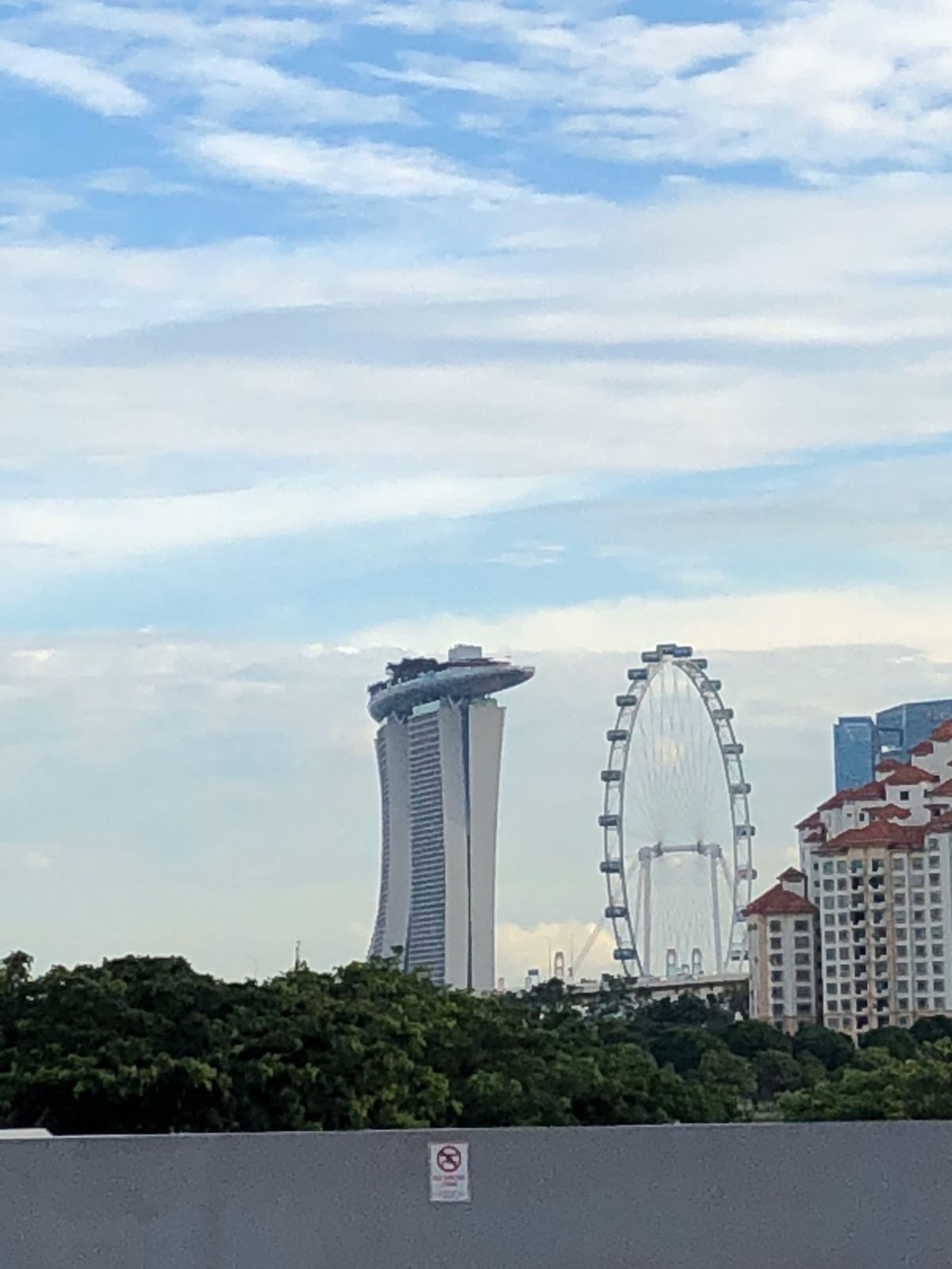 スーパーラグビー観戦
シンガポールの地で勝利！