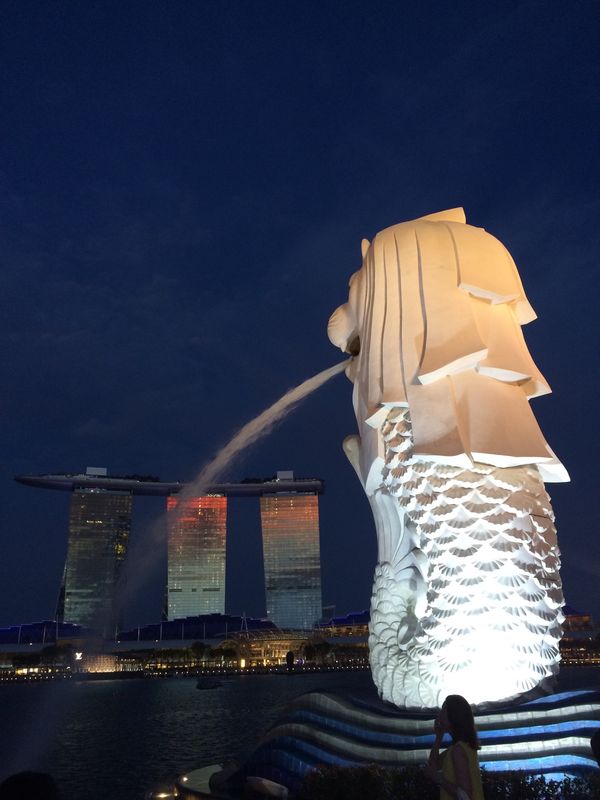 シンガポール「シンガポール」の写真：初めてのシンガポール🇸🇬