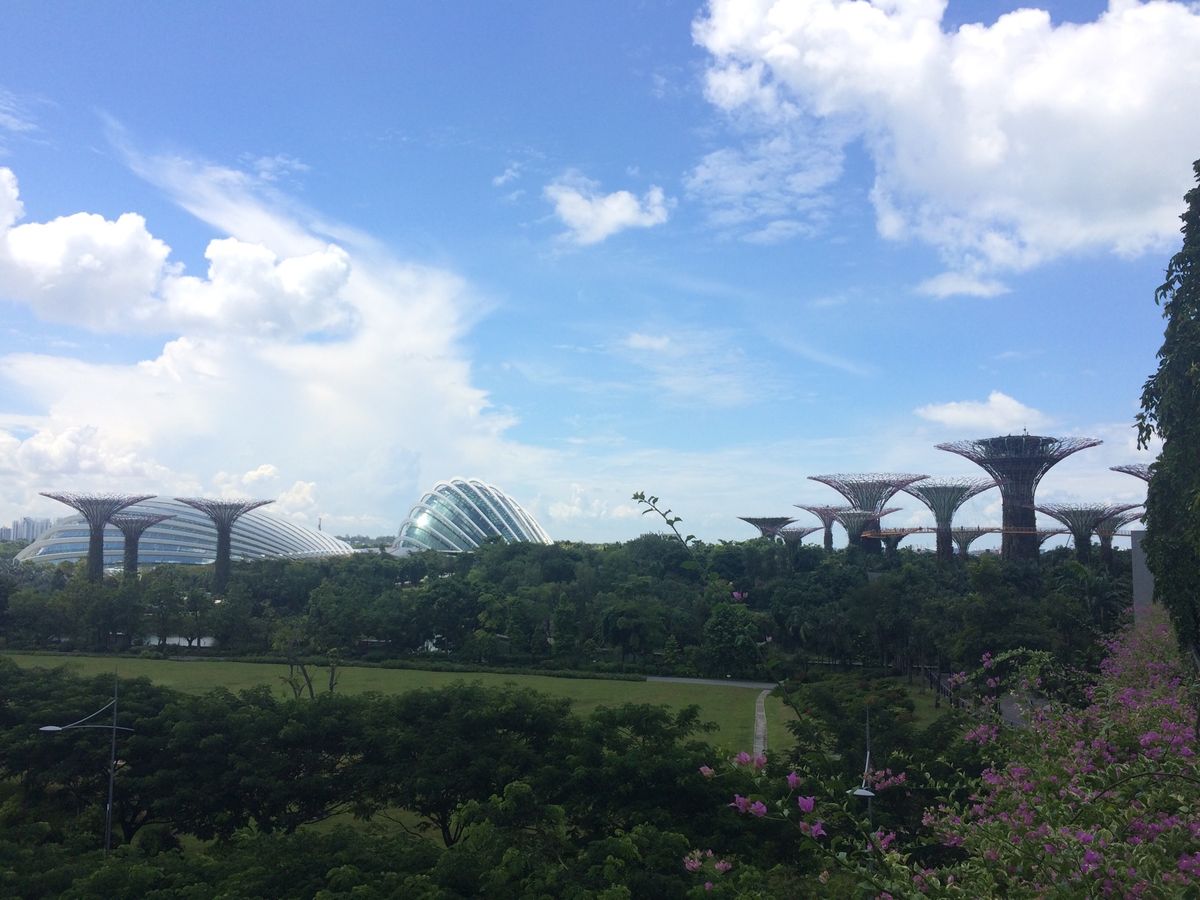 初めてのシンガポール🇸🇬