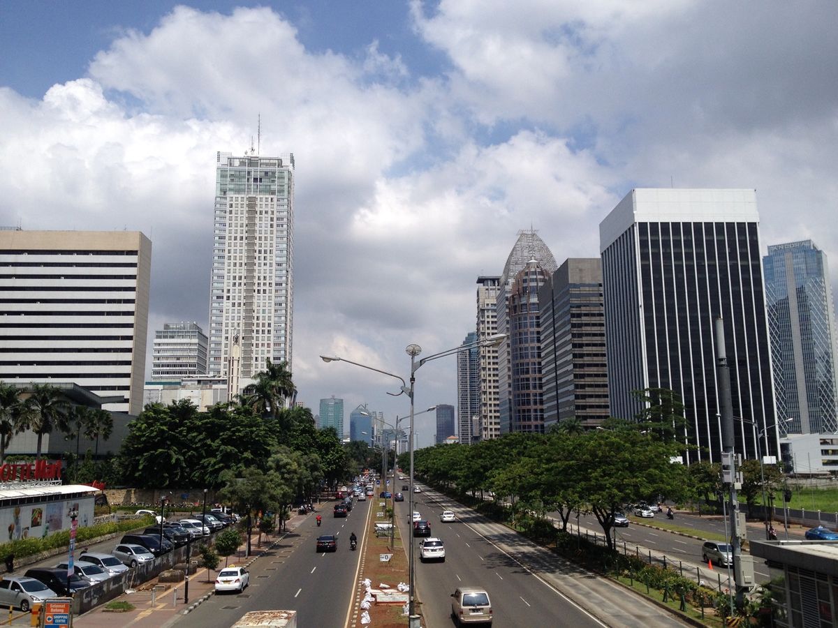 コモドオオトカゲはデカい