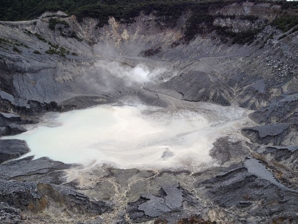 インドネシア・ジャカルタ「インドネシア」の写真：コモドオオトカゲはデカい