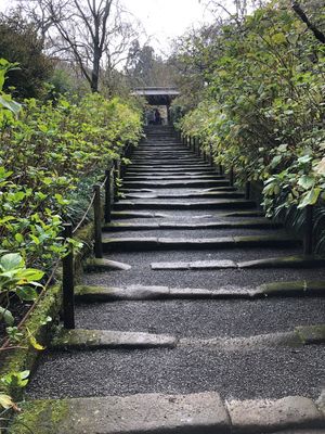 平日の朝だったからのんびりできたよ