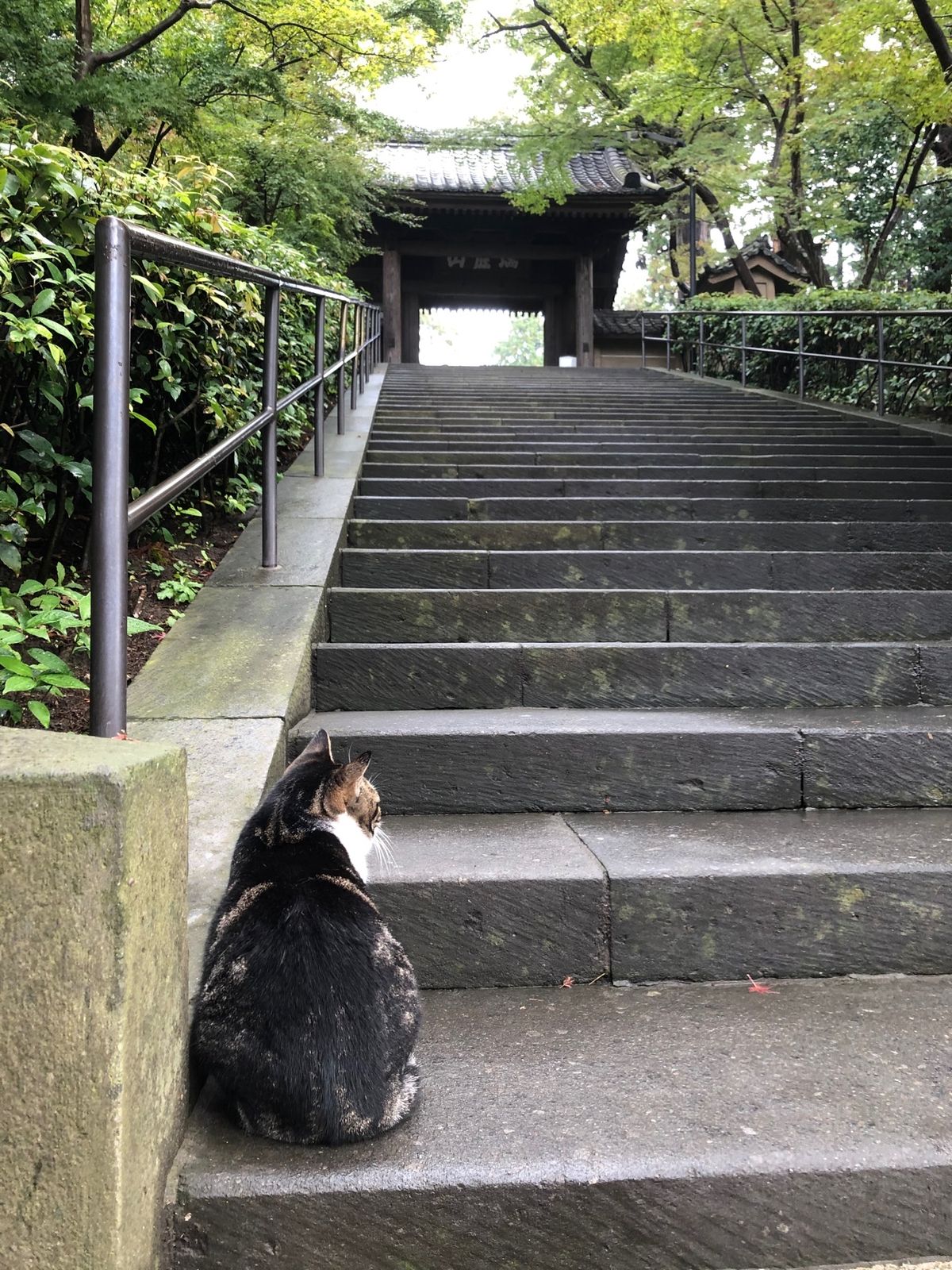 平日の朝だったからのんびりできたよ