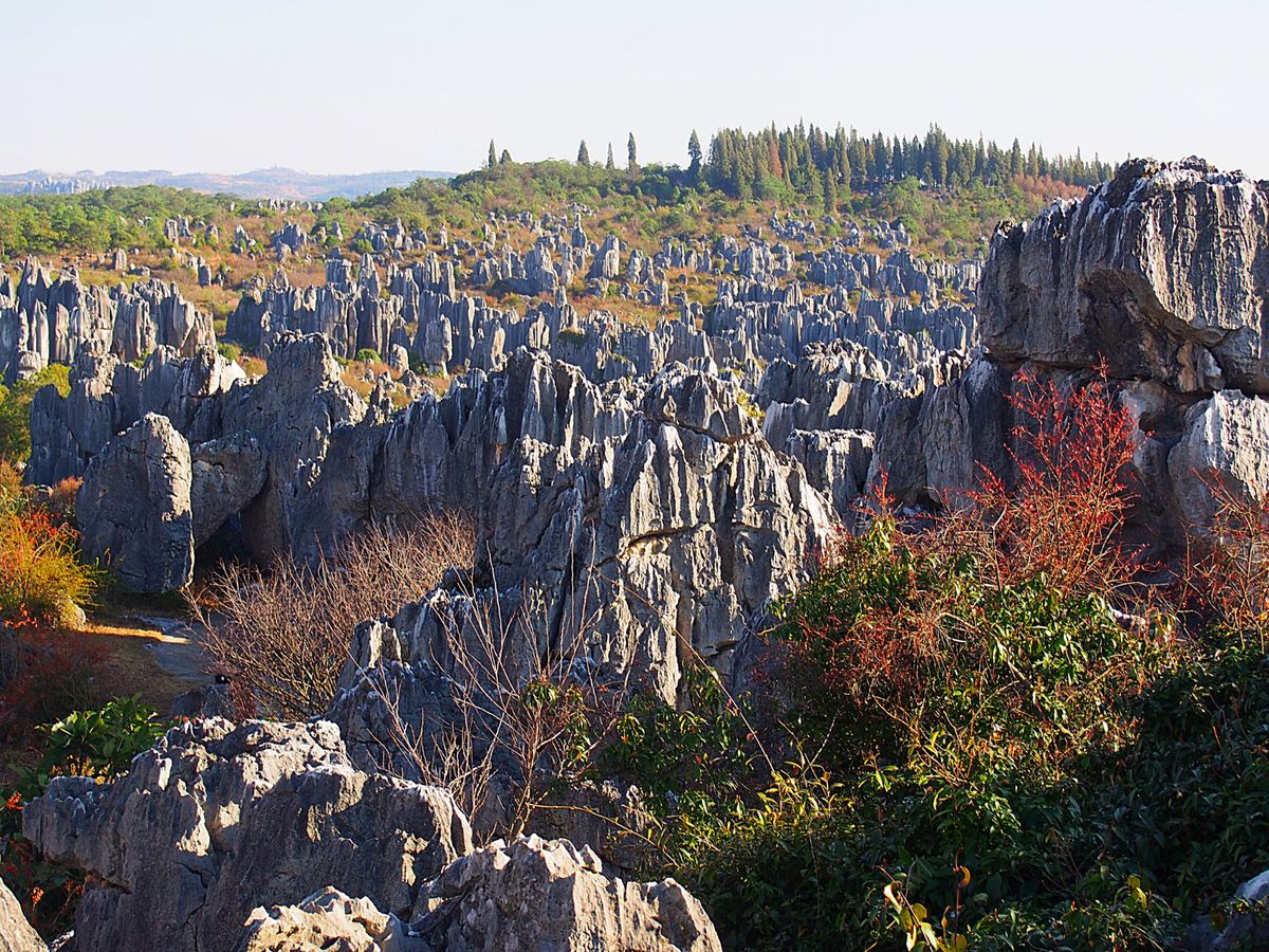 石林風景区
昆明からバスで石林へ
あたり一面に広がる石柱群の中に、遊歩道が...