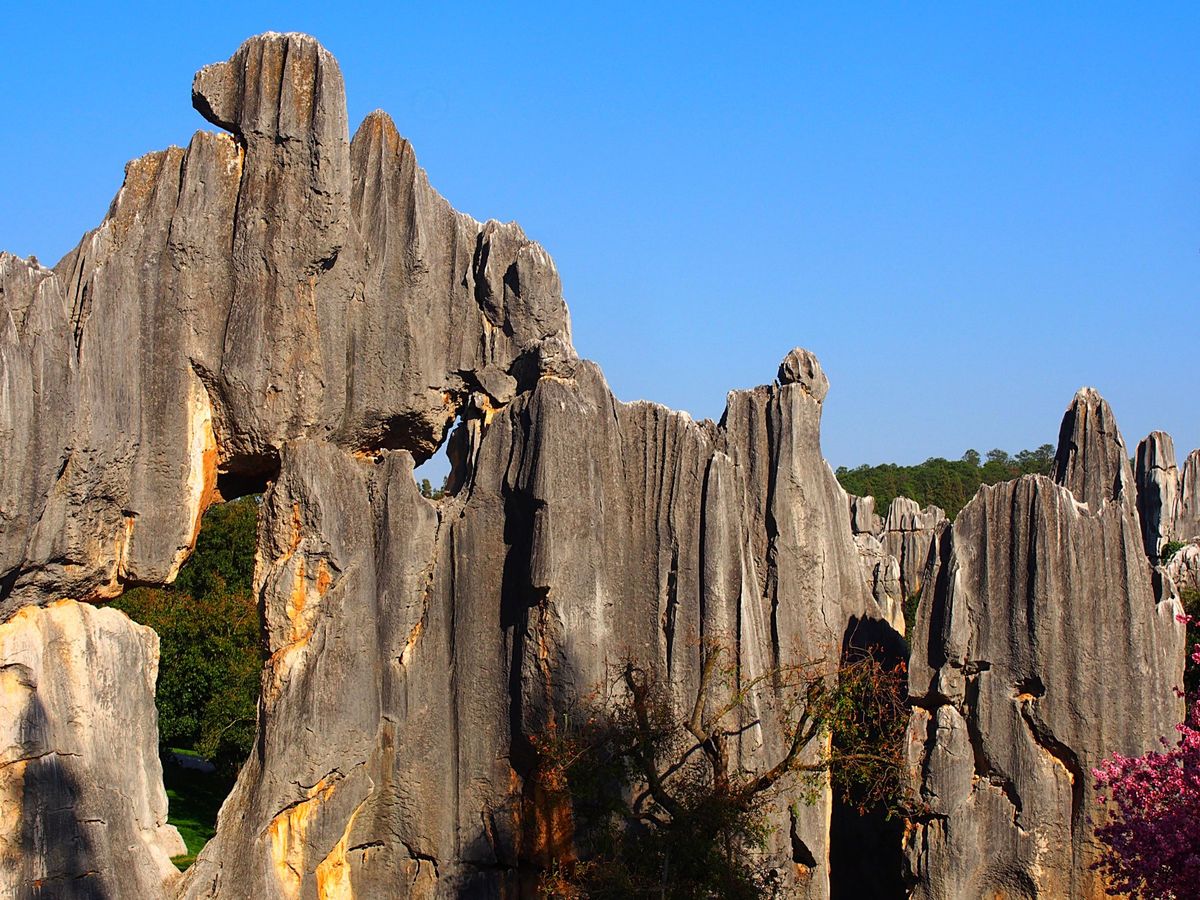 石林風景区
昆明からバスで石林へ
あたり一面に広がる石柱群の中に、遊歩道が...