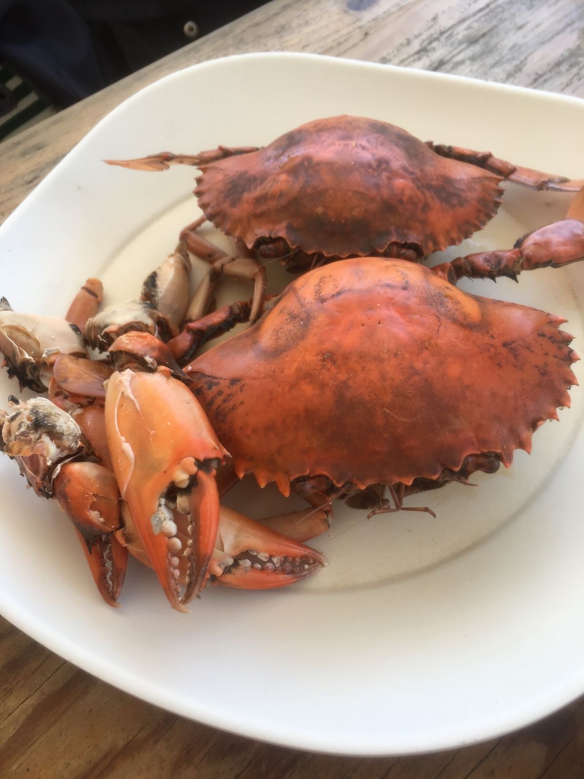 お気に入りのシーフード店