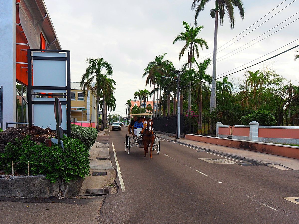 バハマ ナッソー
クルーズ船は朝ナッソーに到着し、夕方まではフリータイムに...