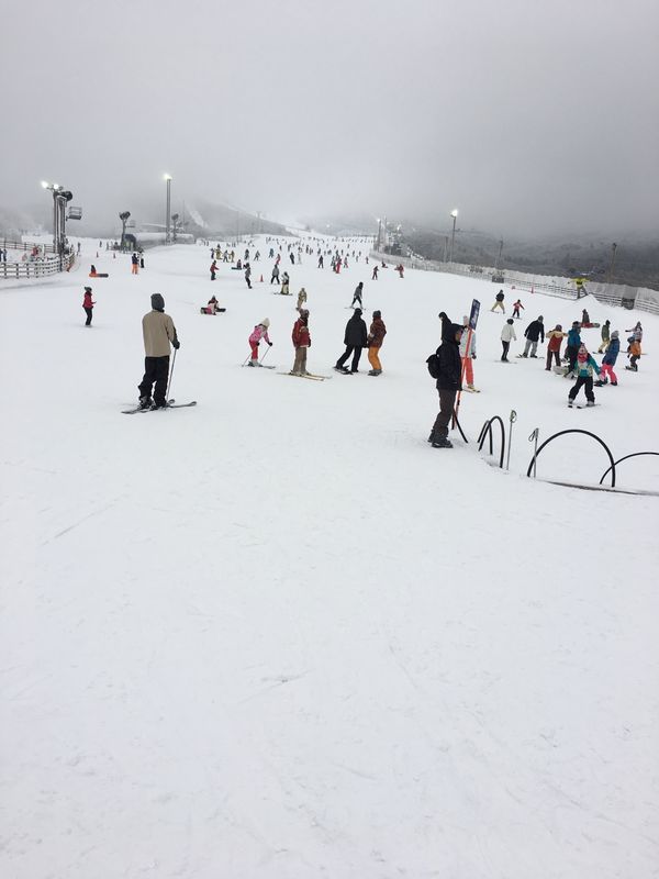 日本「大分スキー」の写真