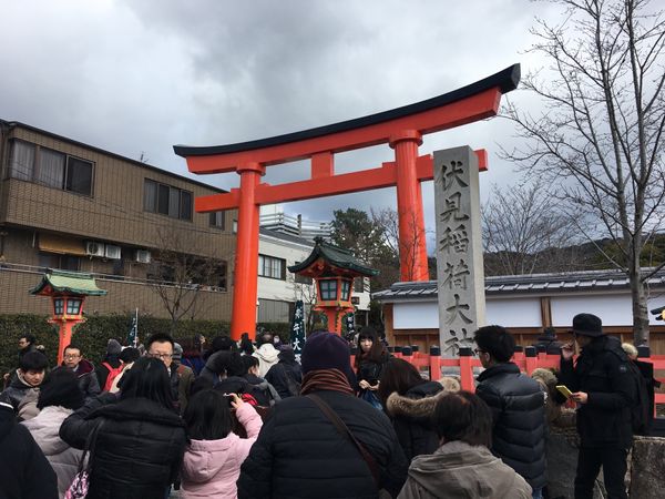 日本・京都「大阪京都３日間」の写真
