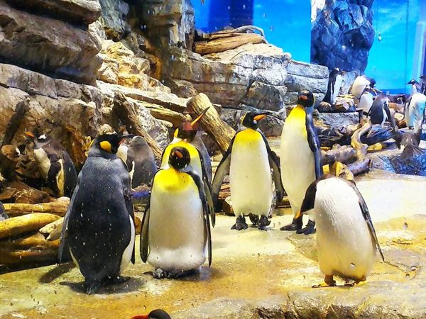 日本・山口「下関日帰り」の写真