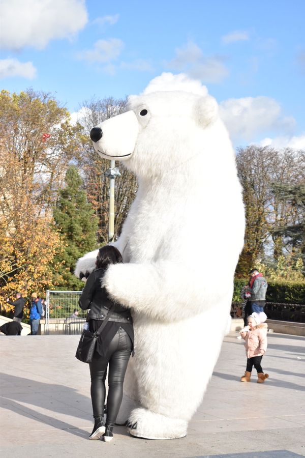 フランス・パリ「フランス」の写真