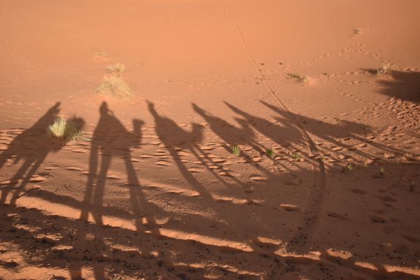 モロッコ・カサブランカ「モロッコ」の写真