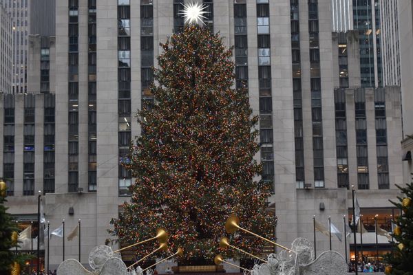 アメリカ(米国)・ニューヨーク「アメリカ」の写真