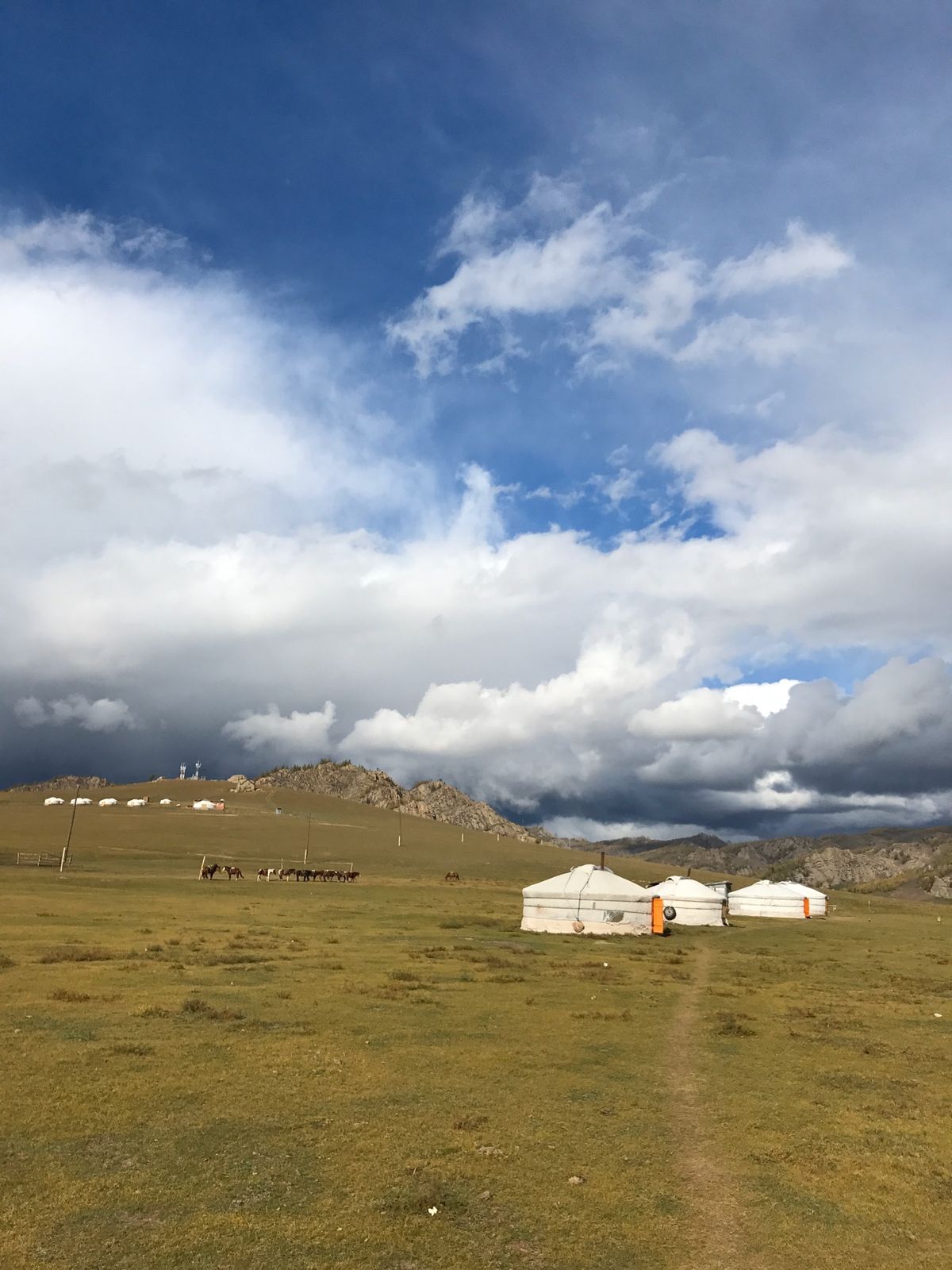 ウランバートル市内とテレルジへ行きました。人生初の乗馬も経験