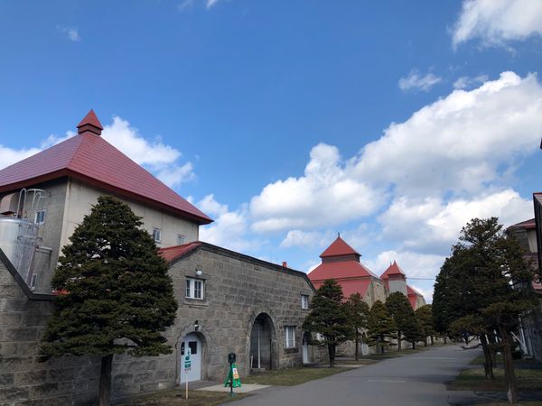 日本・札幌「余市蒸留所」の写真：ここでしか買えないウイスキーを買いに