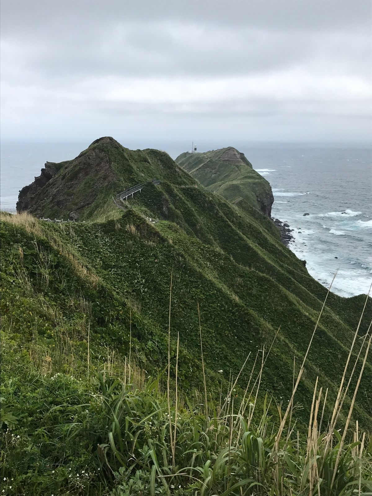 神威岬、お食事処みさき(積丹)、はちきょう