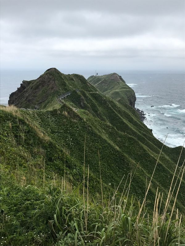 日本・北海道「201706北海道旅行」の写真：神威岬、お食事処みさき(積丹)、はちきょう