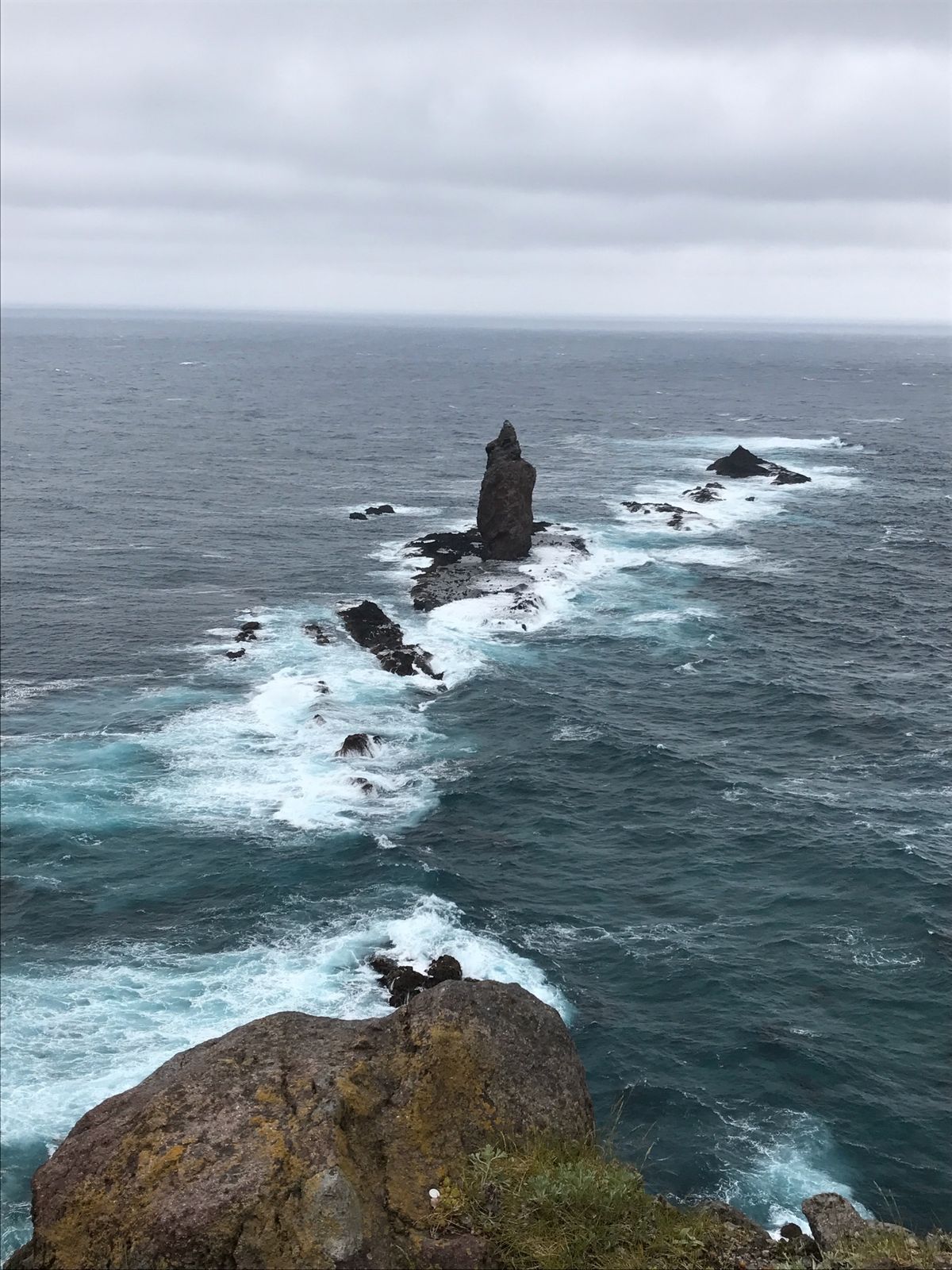 神威岬、お食事処みさき(積丹)、はちきょう