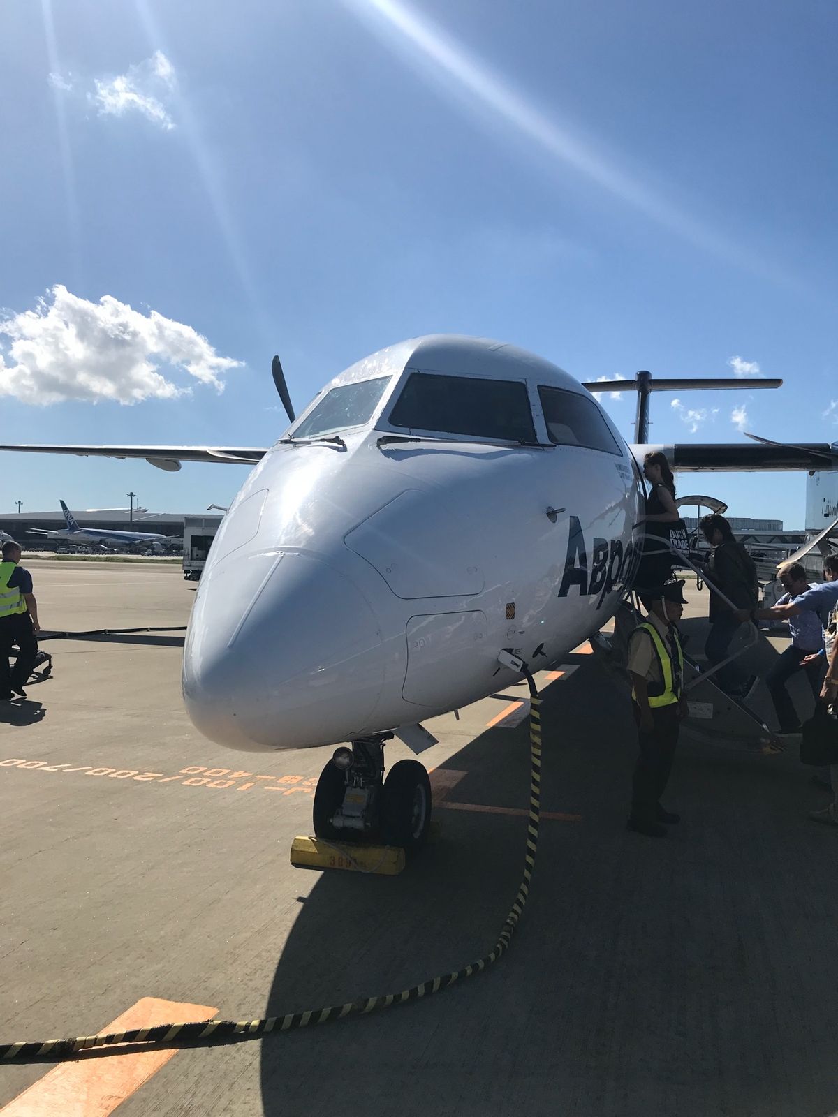 今はJALが運行しているが、この時はアエロフロートのコードシェア便のオーロ...