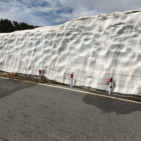 日本・長野県　「乗鞍高原」の写真：コースの中で雪の壁を走る🏃‍♂️