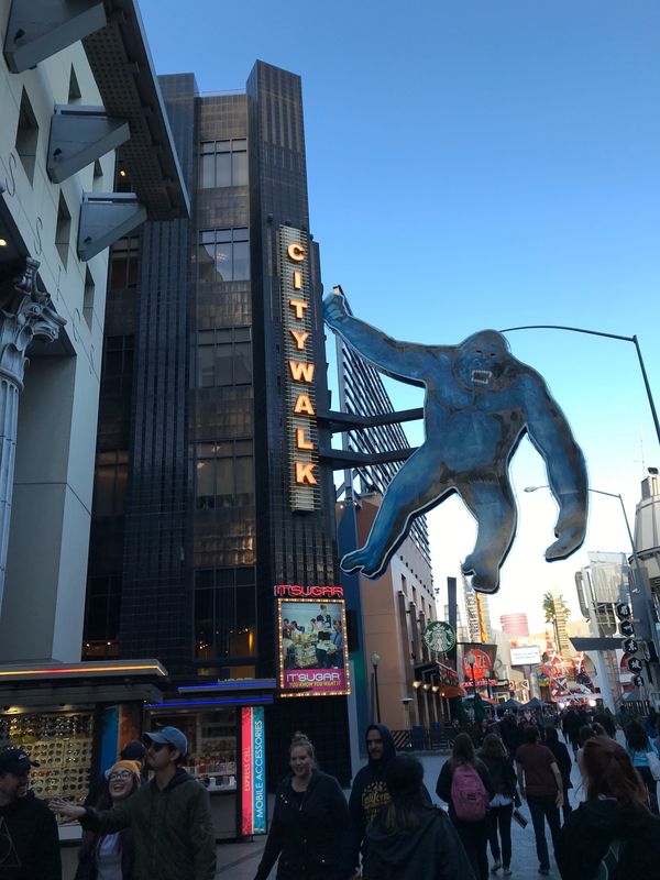 アメリカ(米国)・ロサンゼルス「LAテーマパークの旅」の写真