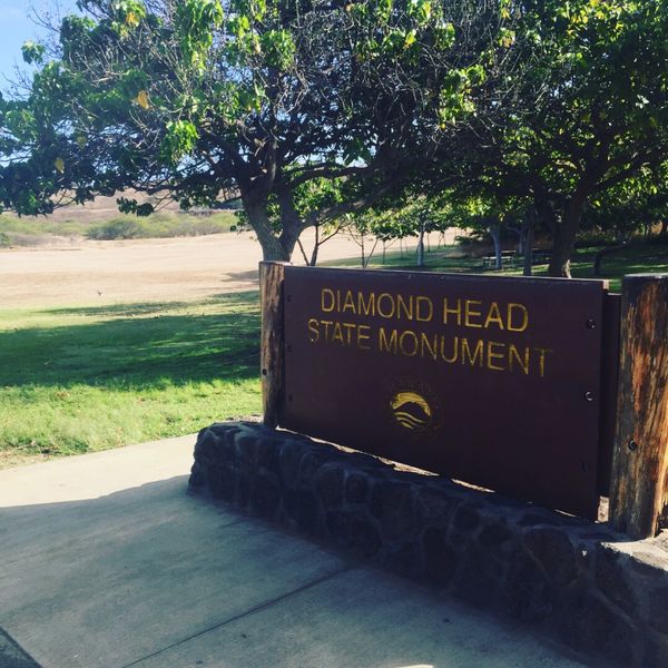 アメリカ(米国)・ハワイ「ハワイ男4人旅」の写真