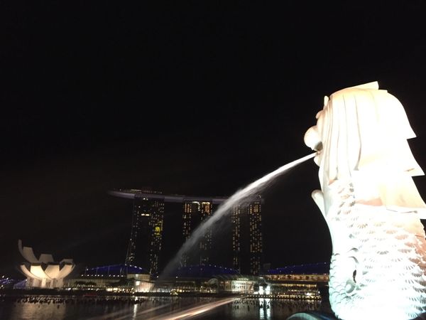 シンガポール・シンガポール「マリーナベイサンズ」の写真