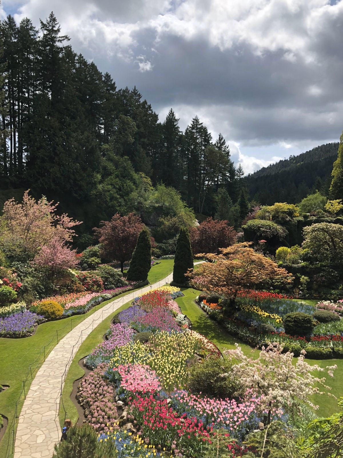 バンクーバー 1人旅